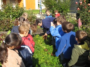 sortie-au-jardin-26-09-08-025