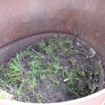 Le compost