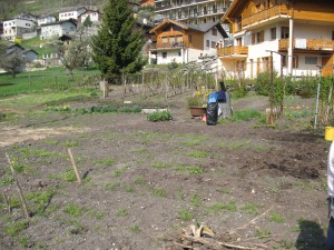 jardin-printemps-avril-09-011