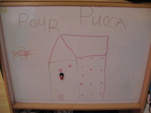 Dessinpucca