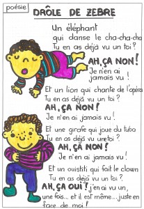 Drole de zebre