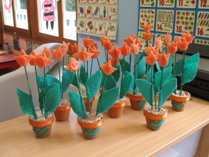Notre champ de tulipes prend forme !