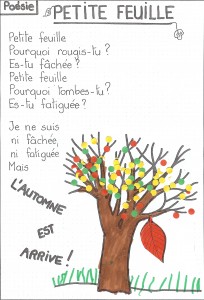 Poésie Petite feuille