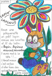 Lapin lapinus