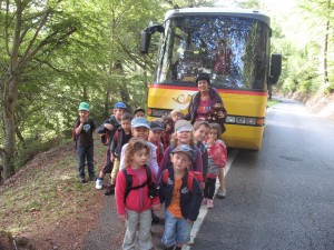 Van3 Van3