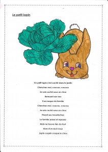 Le petit lapin