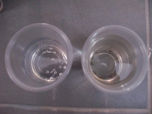 Glacon5