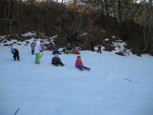 Luge