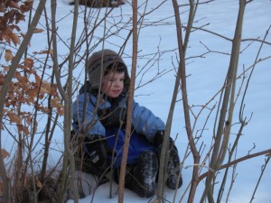 Luge3