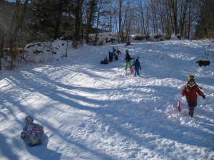 Luge2