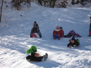 Luge3
